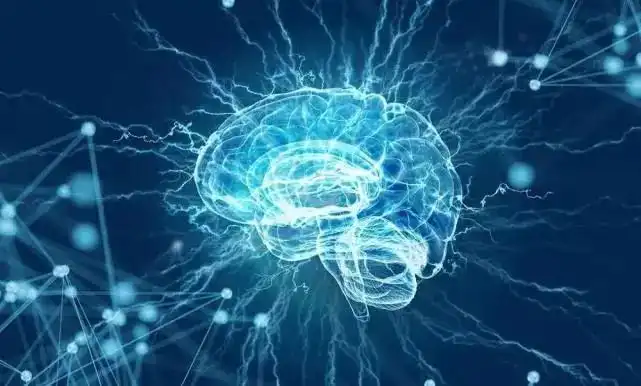 product-641-386 product-641-386