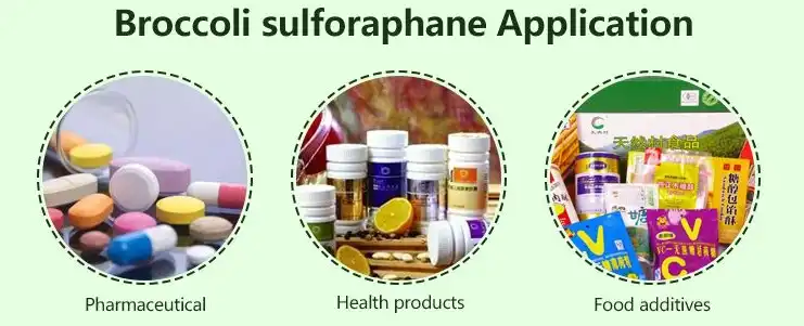Application Fields of Sulforaphane Application Fields of Sulforaphane