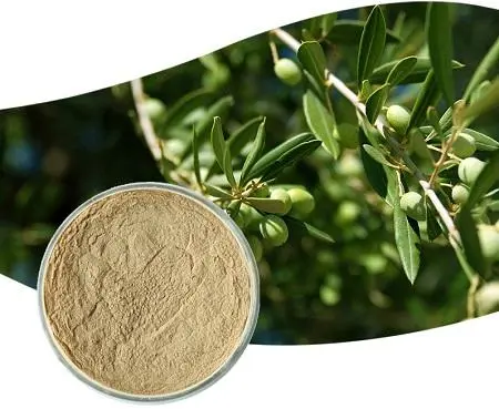 Maslinic Acid Powder Maslinic Acid Powder