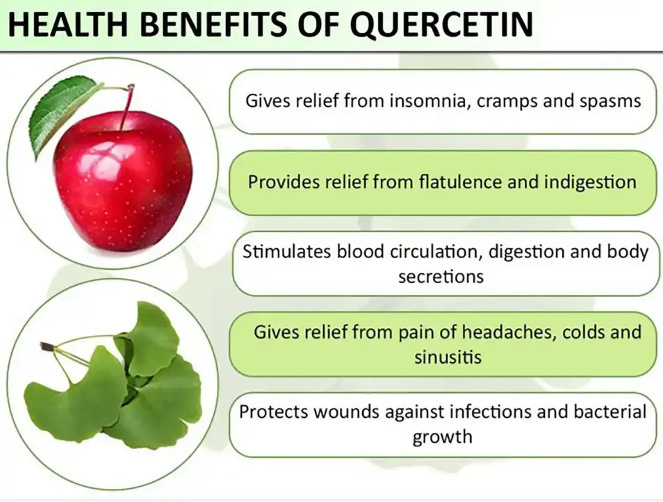 benefits of Quercetin benefits of Quercetin