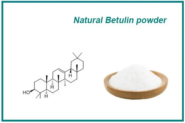 Betulin powder Betulin powder