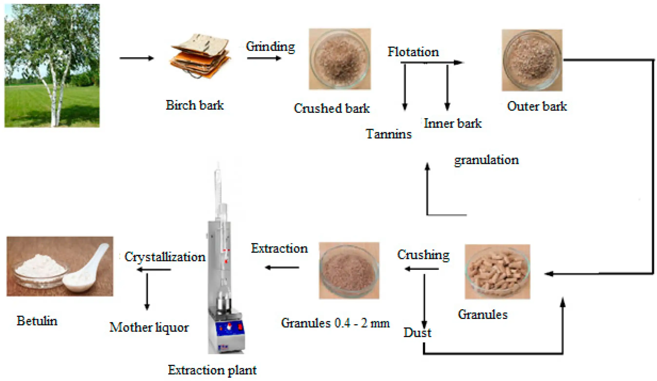 Betulin Powder