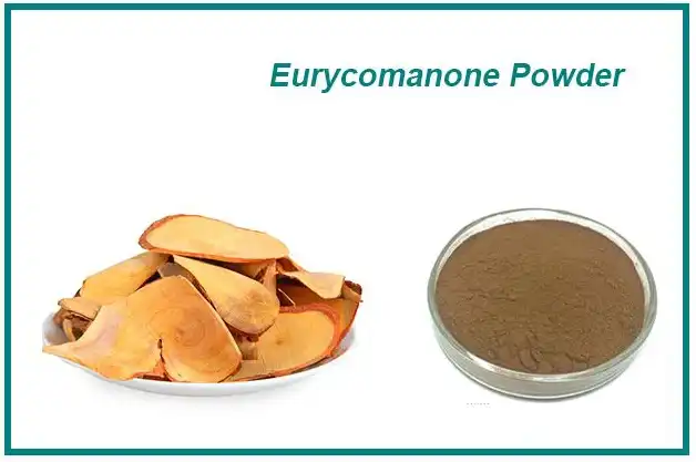 Eurycomanone Powder Eurycomanone Powder