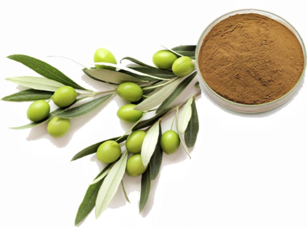 Hydroxytyrosol Powder Hydroxytyrosol Powder