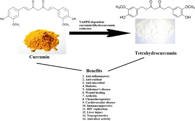 Tetrahydrocurcumin Benefits