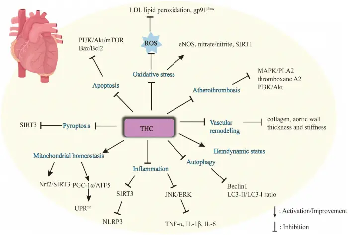 Industri Farmasi dan Bioteknologi Industri Farmasi dan Bioteknologi