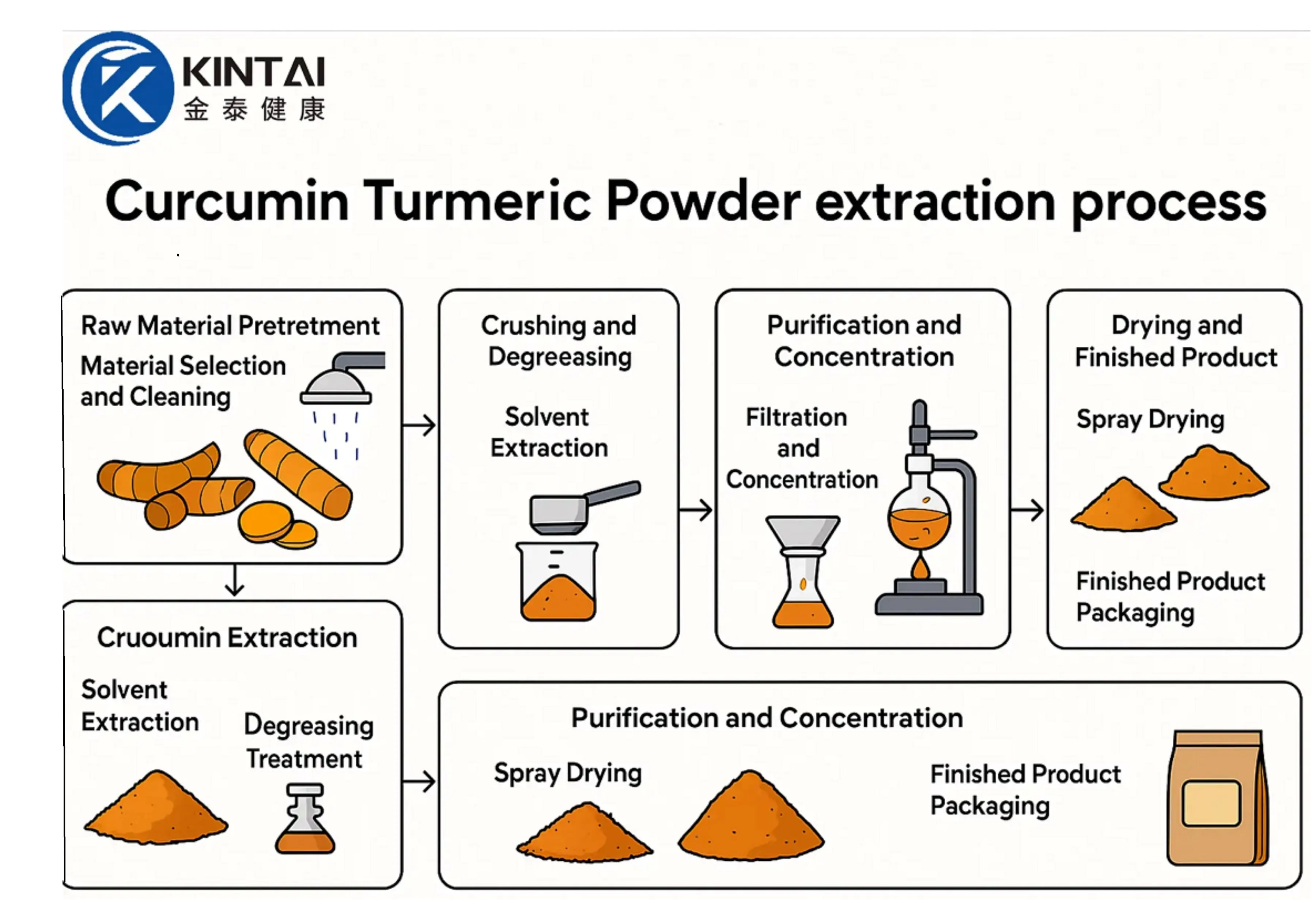 Kintai Curcumin Turmeric Powder Manufacture Process