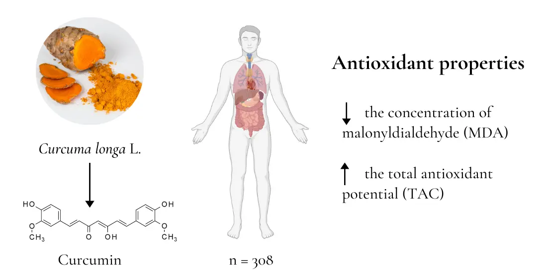 Curcumin Turmeric Root Extract Benefits Curcumin Turmeric Root Extract Benefits