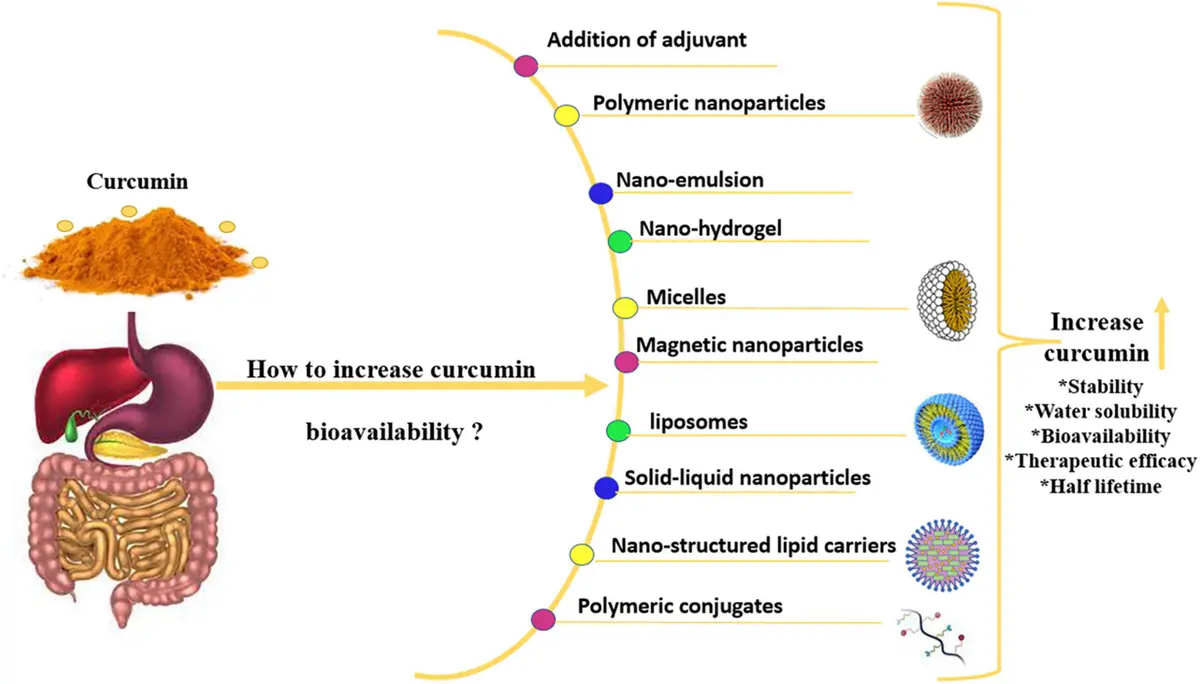 Curcumin uses Curcumin uses