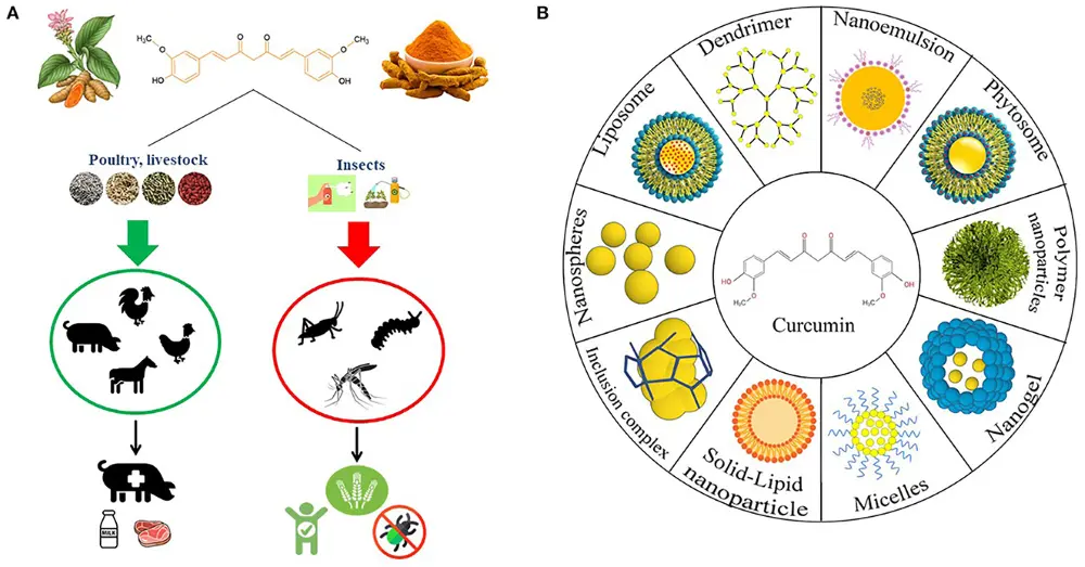 Curcumin in Animal Husbandry Curcumin in Animal Husbandry