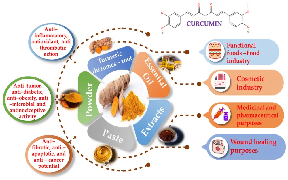 Curcumin Extract Uses Curcumin Extract Uses