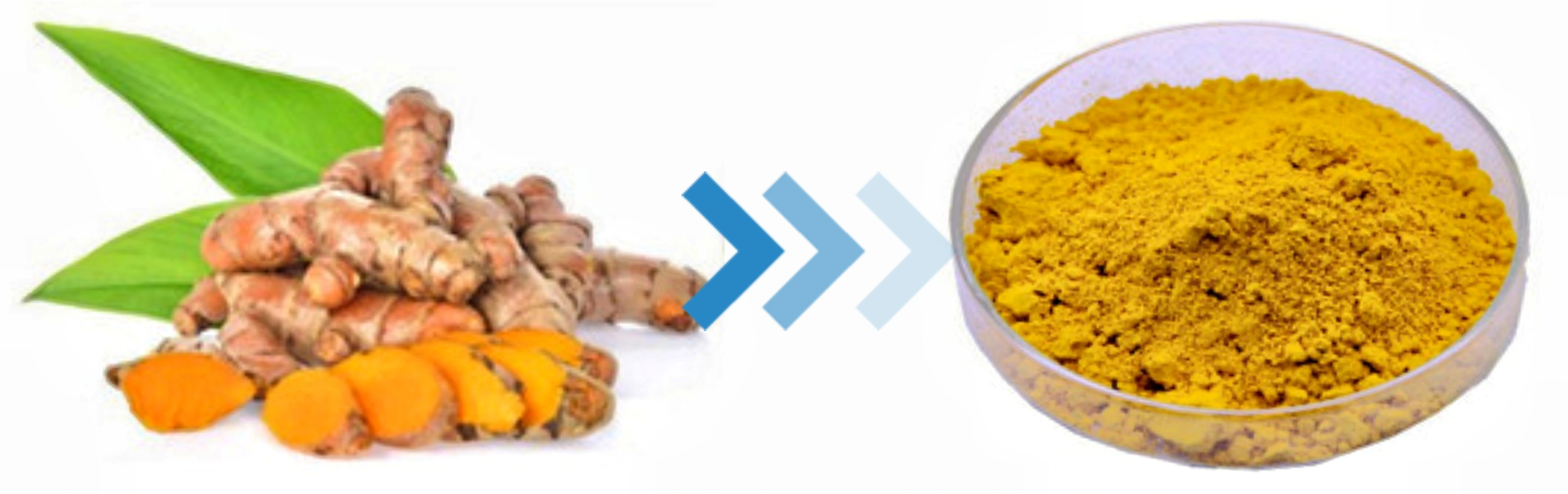 Curcumin Pigment
