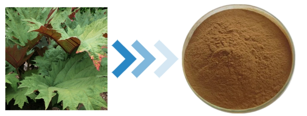 Emodin Powder Emodin Powder