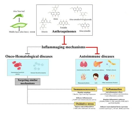 Aloe Emodin Benefits