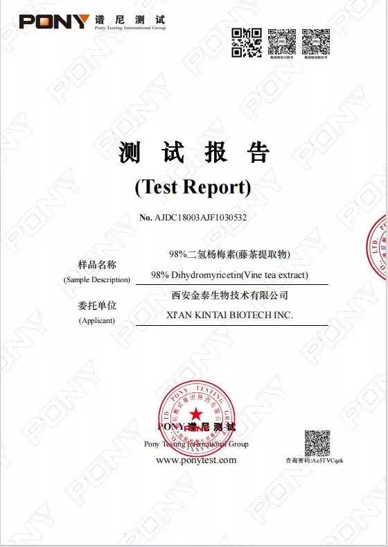 Test report