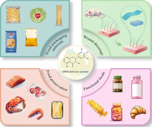 Food Industry as Antioxidant