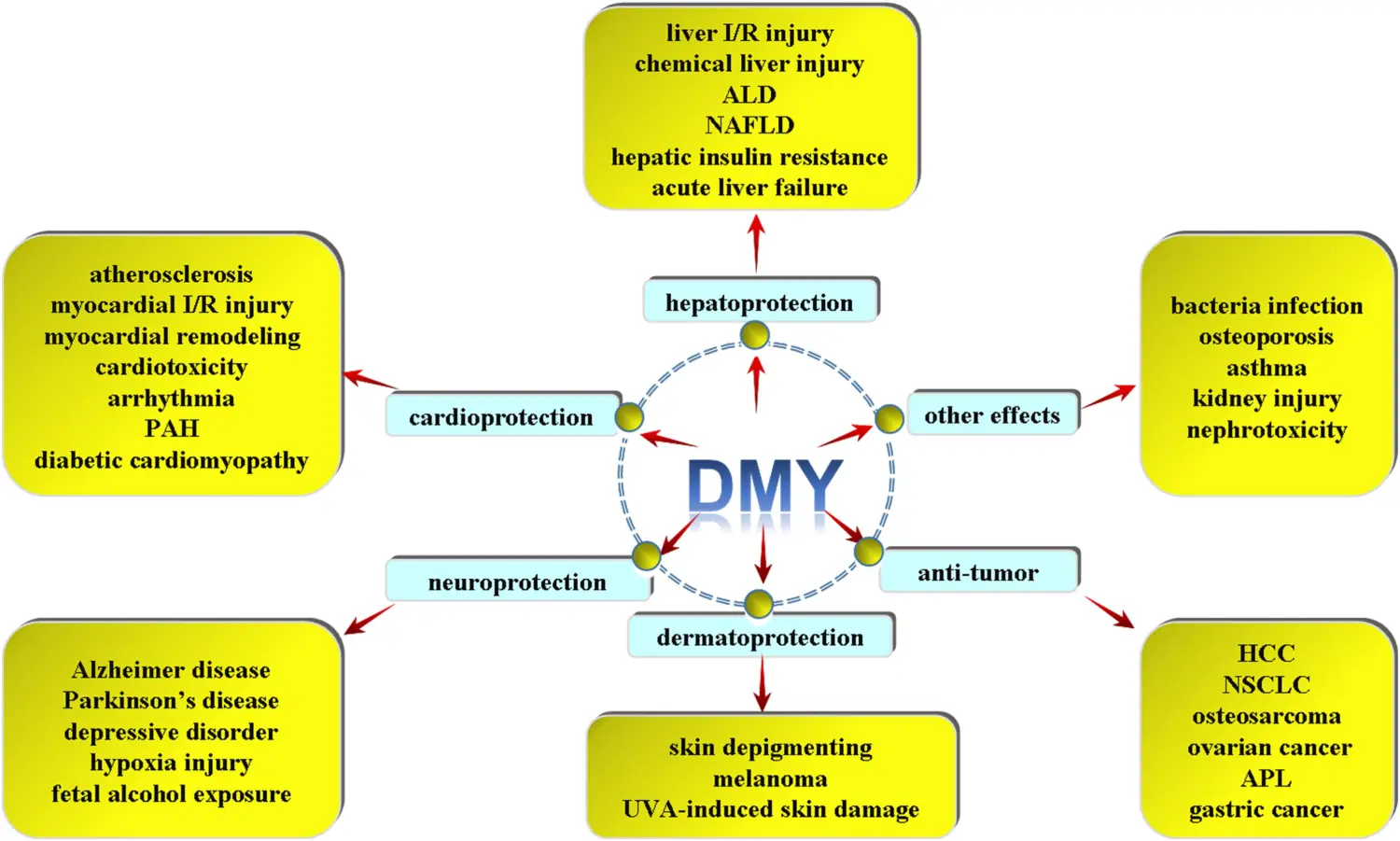 DMY Benefits DMY Benefits