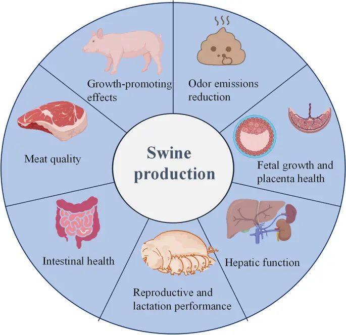 Vine Tea Extract in Livestock and Poultry Breeding