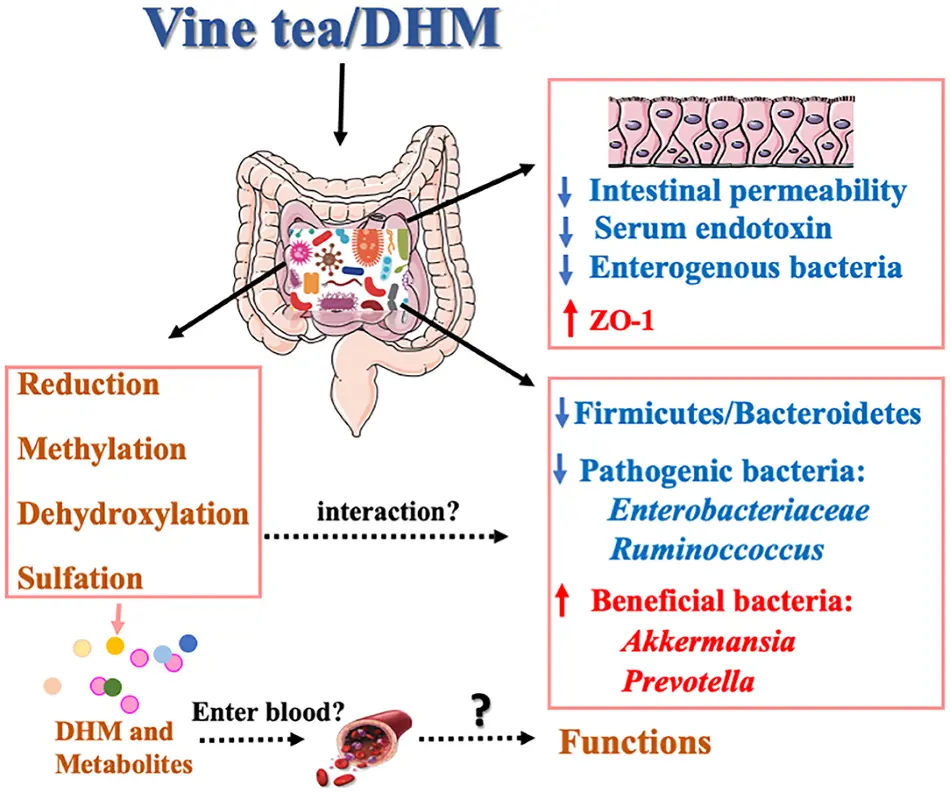  Health Food and Health Products
