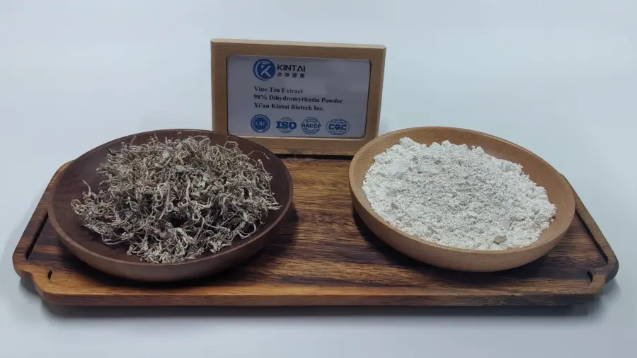 Ampelopsis Grossedentata Extract (DHM) manufacturer Ampelopsis Grossedentata Extract (DHM) manufacturer