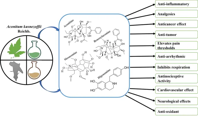 Side Effects of Lappaconite Hydrobromide
