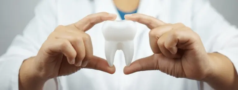Galla Chinensis in oral Health