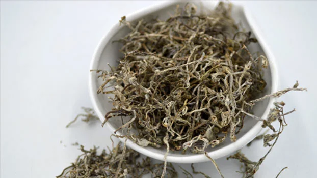 Vine Tea Vine Tea