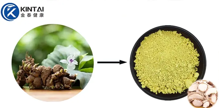 Powdwr Kaempferol Powdwr Kaempferol