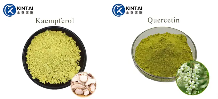 KINTAI Kaempferol& Quercetin Powder