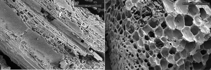 Superior Physical Adsorption Capacity Superior Physical Adsorption Capacity
