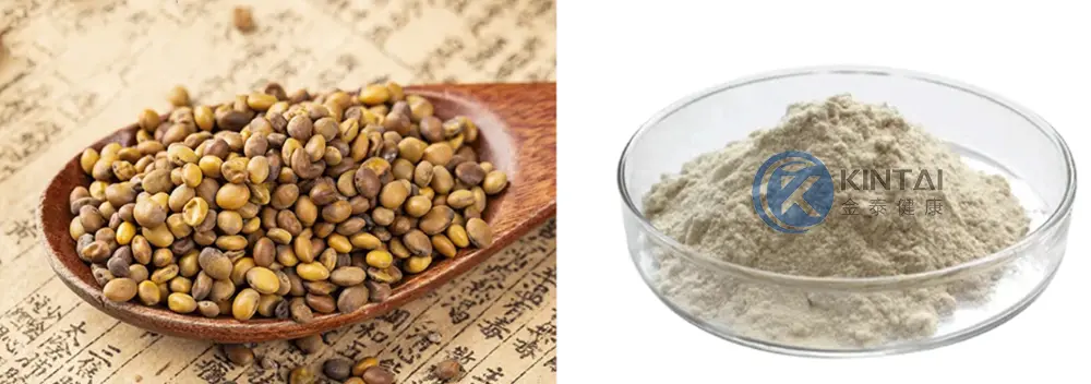 cynnyrch-1-1 cynnyrch-1-1