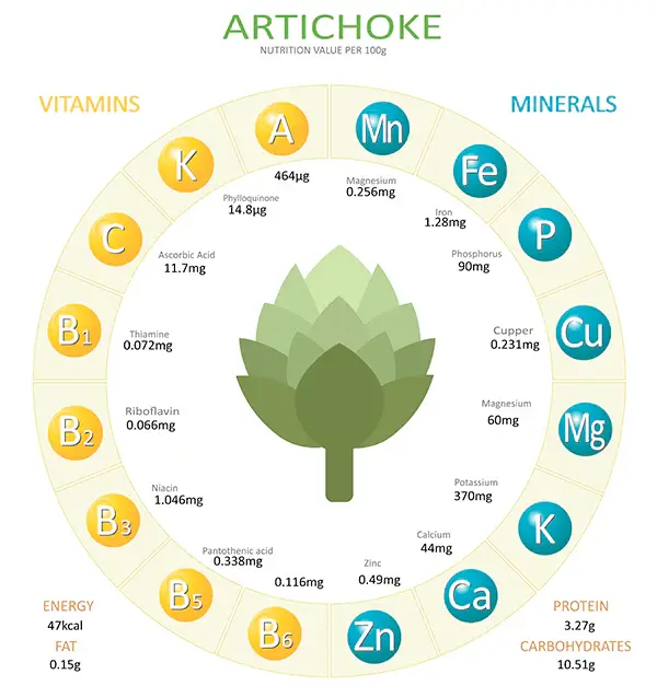 Artichocke Extract Dosage