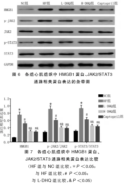 Comparison of HMGB1 protein and JAK2/STAT3 pathway-related protein expression in myocardial tissue of rats in different groups Comparison of HMGB1 protein and JAK2/STAT3 pathway-related protein expression in myocardial tissue of rats in different groups