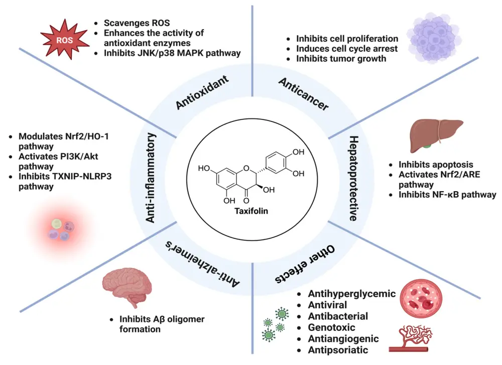 Benefits of Taxifolin