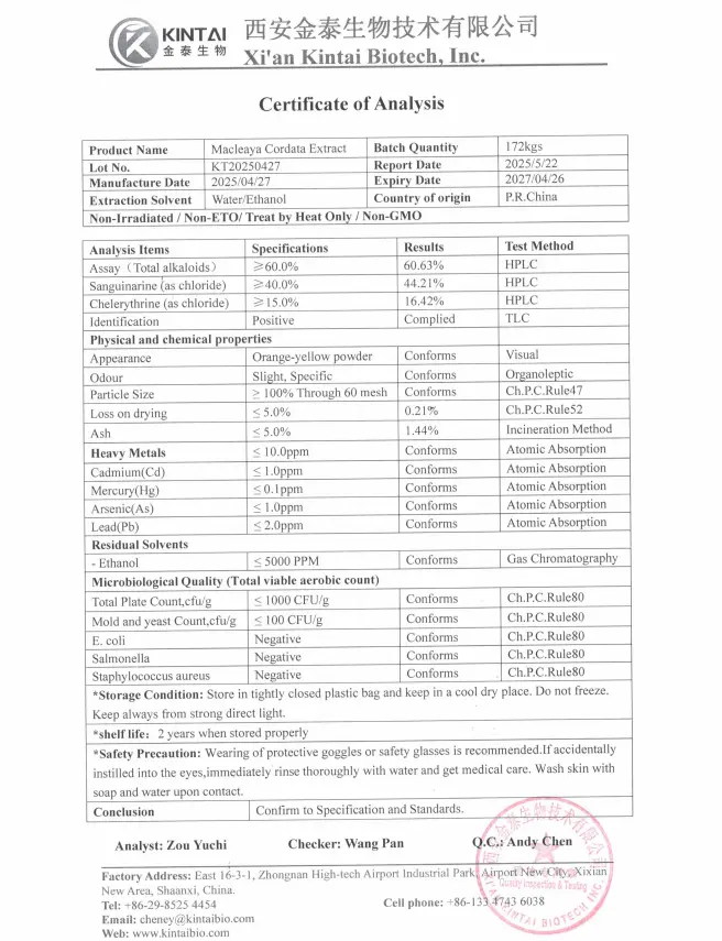 KINTAI Macleaya Cordata Extract