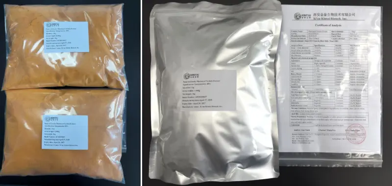 KINTAI Macleaya Cordata Extract packing details