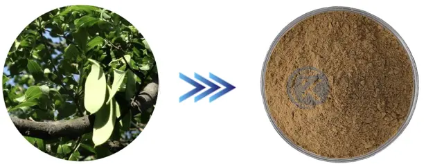 Quillaja Saponaria Soap Bark Extract Quillaja Saponaria Soap Bark Extract