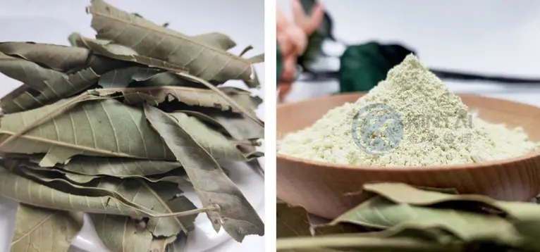 Mangiferin for Diabetes​