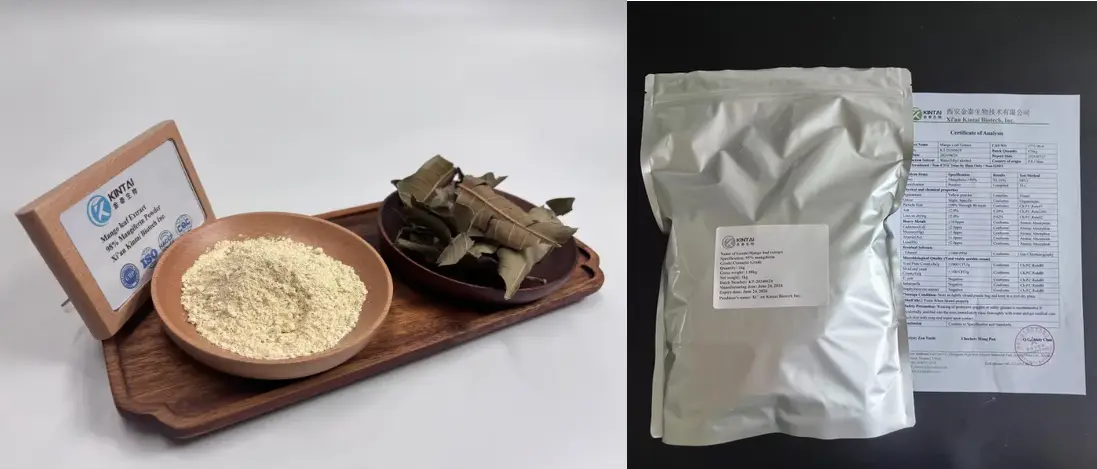 KINTAI Mangiferin Powder KINTAI Mangiferin Powder