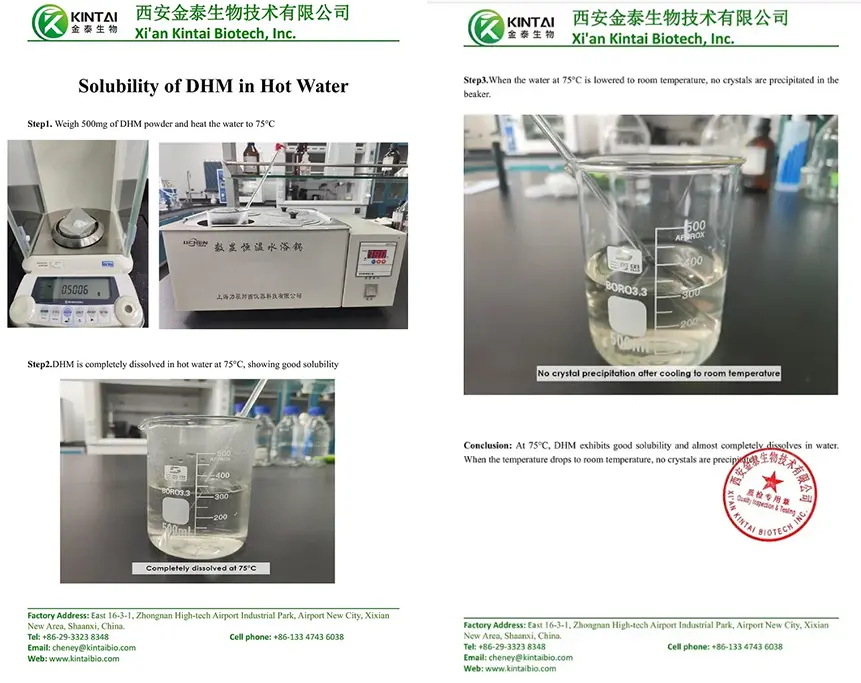 KINTAI's 98% DHM powder