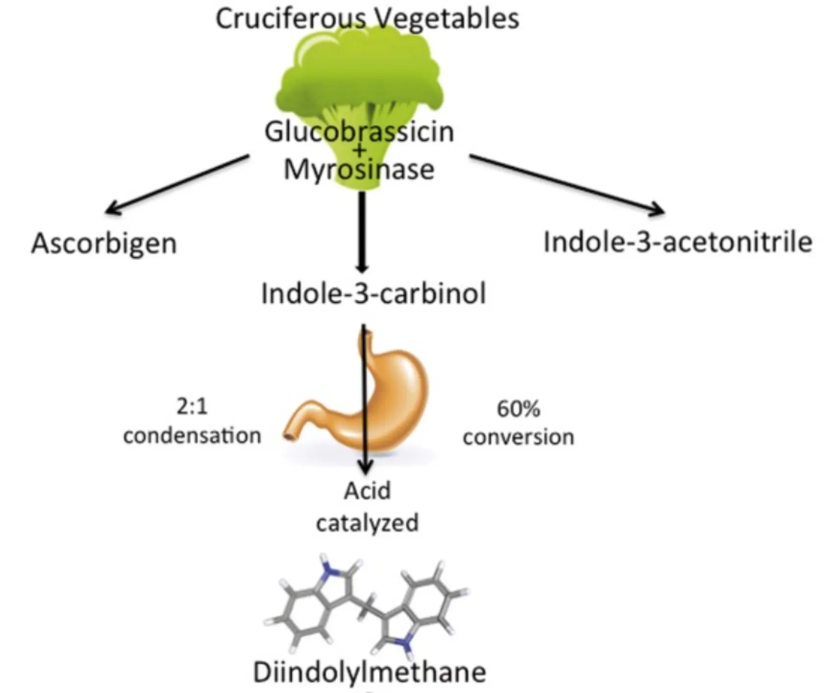 3,3’-Diindolylmethane derived from cruciferous vegetables
