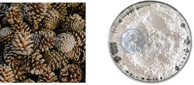 Melatonin Powder Manufacturer and Supplier Melatonin Powder Manufacturer and Supplier