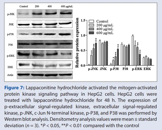 How does lappaconitine hydrobromide work in the body How does lappaconitine hydrobromide work in the body
