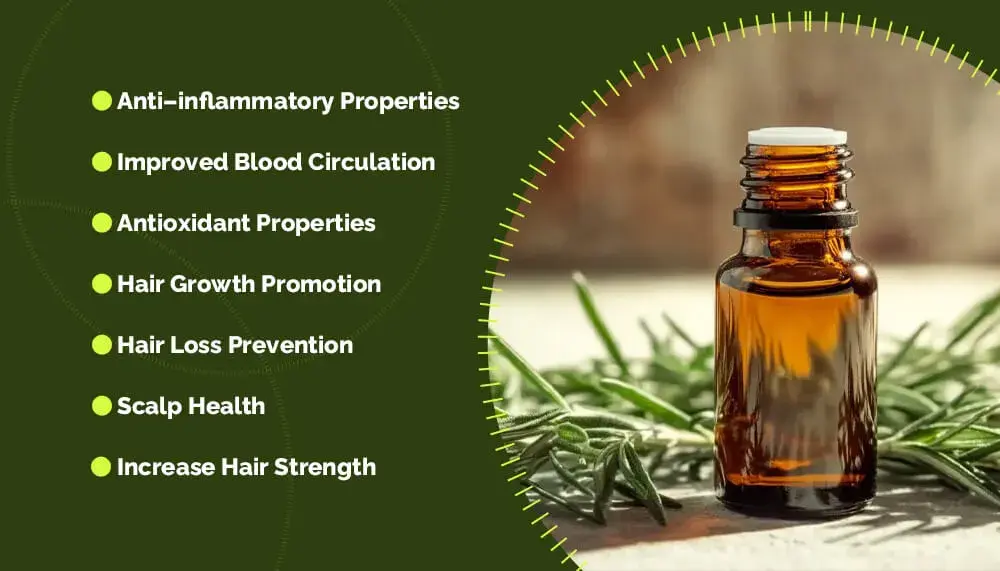 Rosmarinic Acid Benefits Rosmarinic Acid Benefits