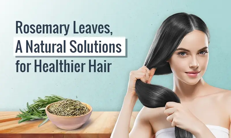  Rosmarinic Acid for hair