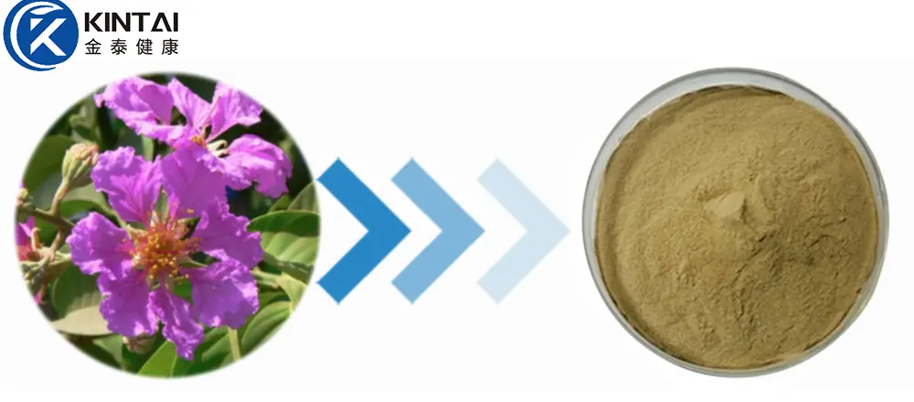 corosolic acid powder corosolic acid powder