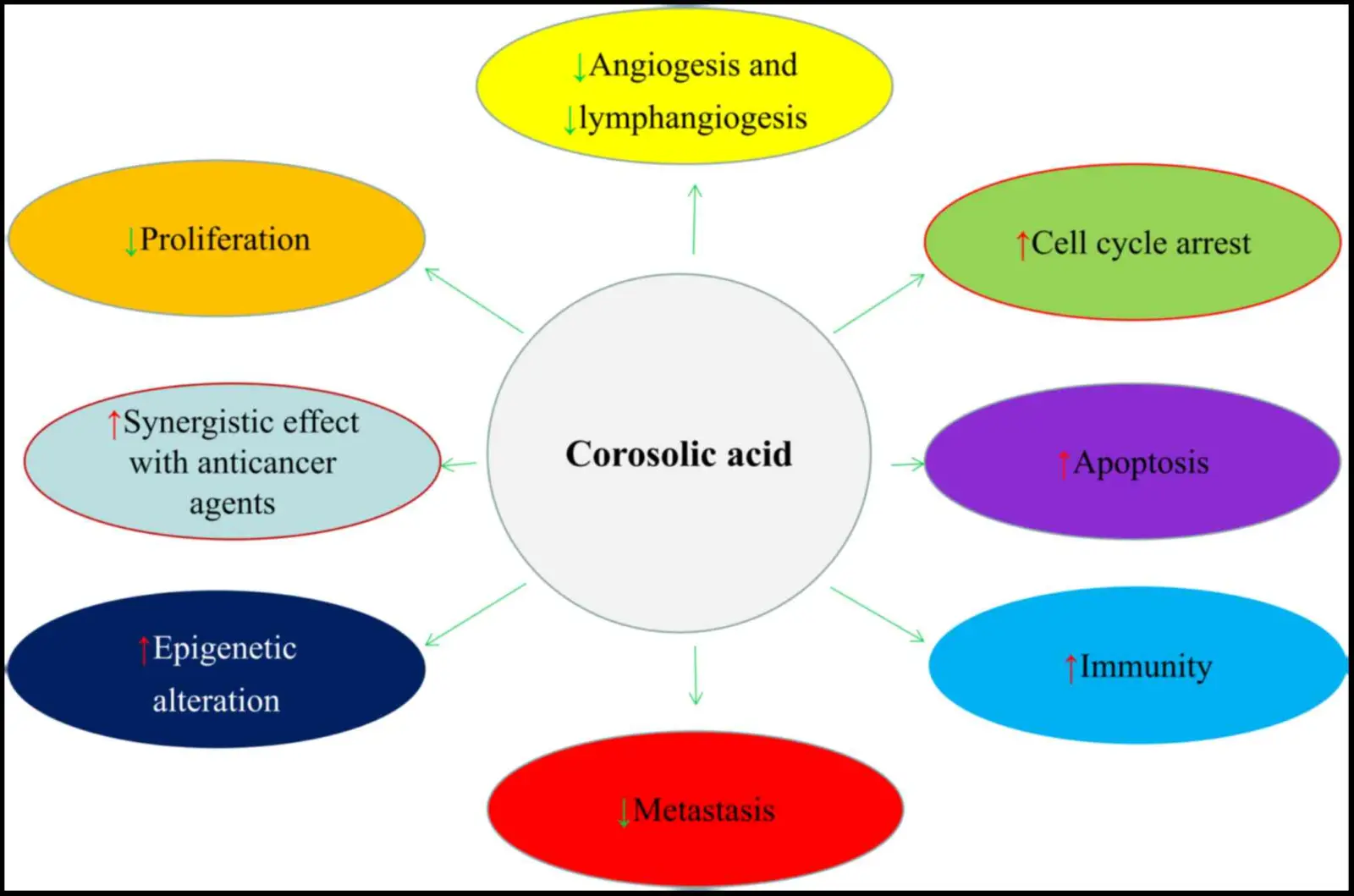 Corosolic Acid Corosolic Acid