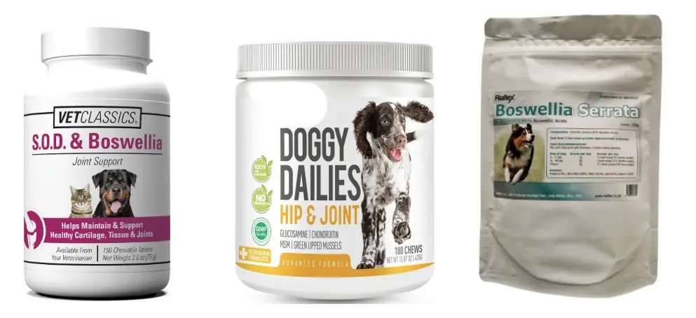 Boswellia Extract rau dev Boswellia Extract rau dev