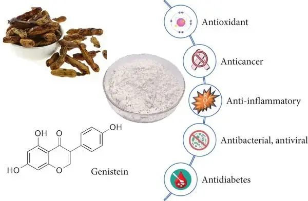 genistein powder