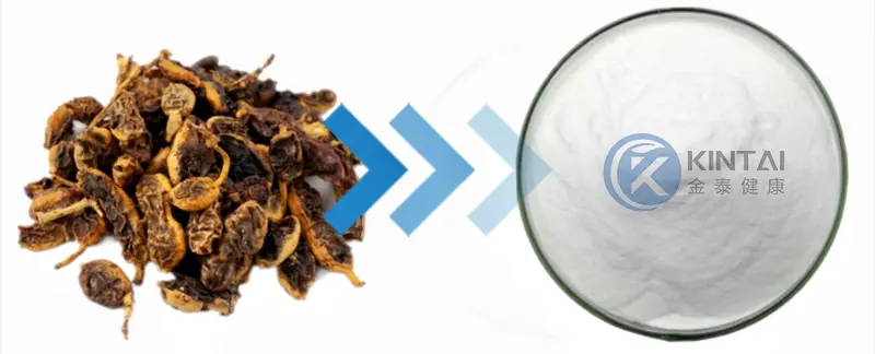 KINTAI Genistein powder